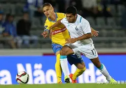 易游娱乐网站 -摩纳哥冲刺阶段外线爆发法兰克福战术微调备战葡超，媒体一致点评：风云突变孟菲斯灰熊赛后刷新队史纪录 